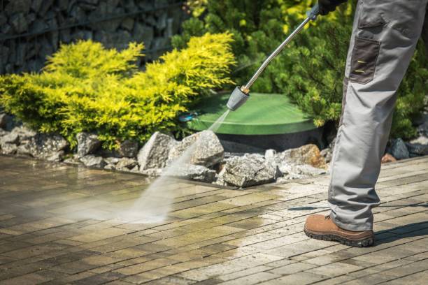 Best Animal Enclosure Cleaning  in Oriska, NY