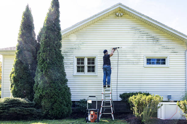 Best Driveway Pressure Washing  in Oriska, NY